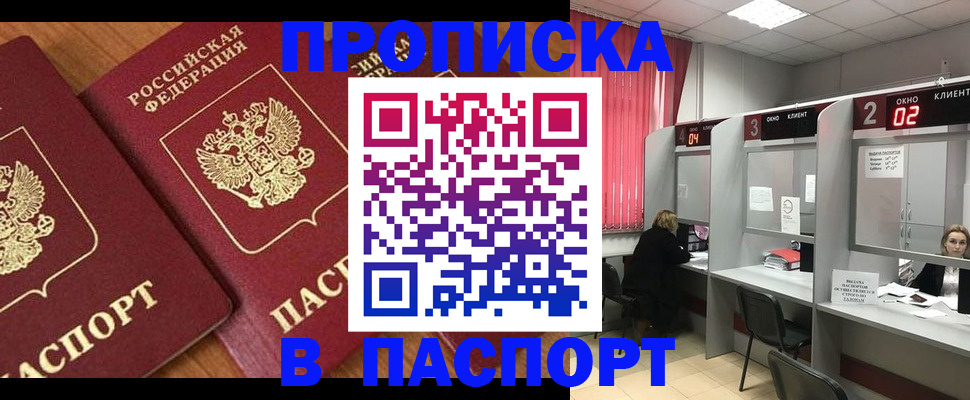 где прописаться в Мончегорске